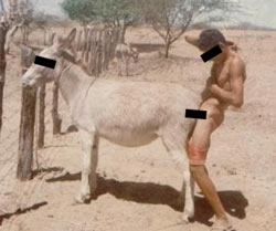 cc3ba-de-burro.jpg